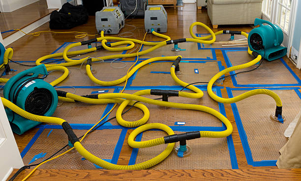 Professional Crawl Space Water Removal technician working in Le Mars, IA